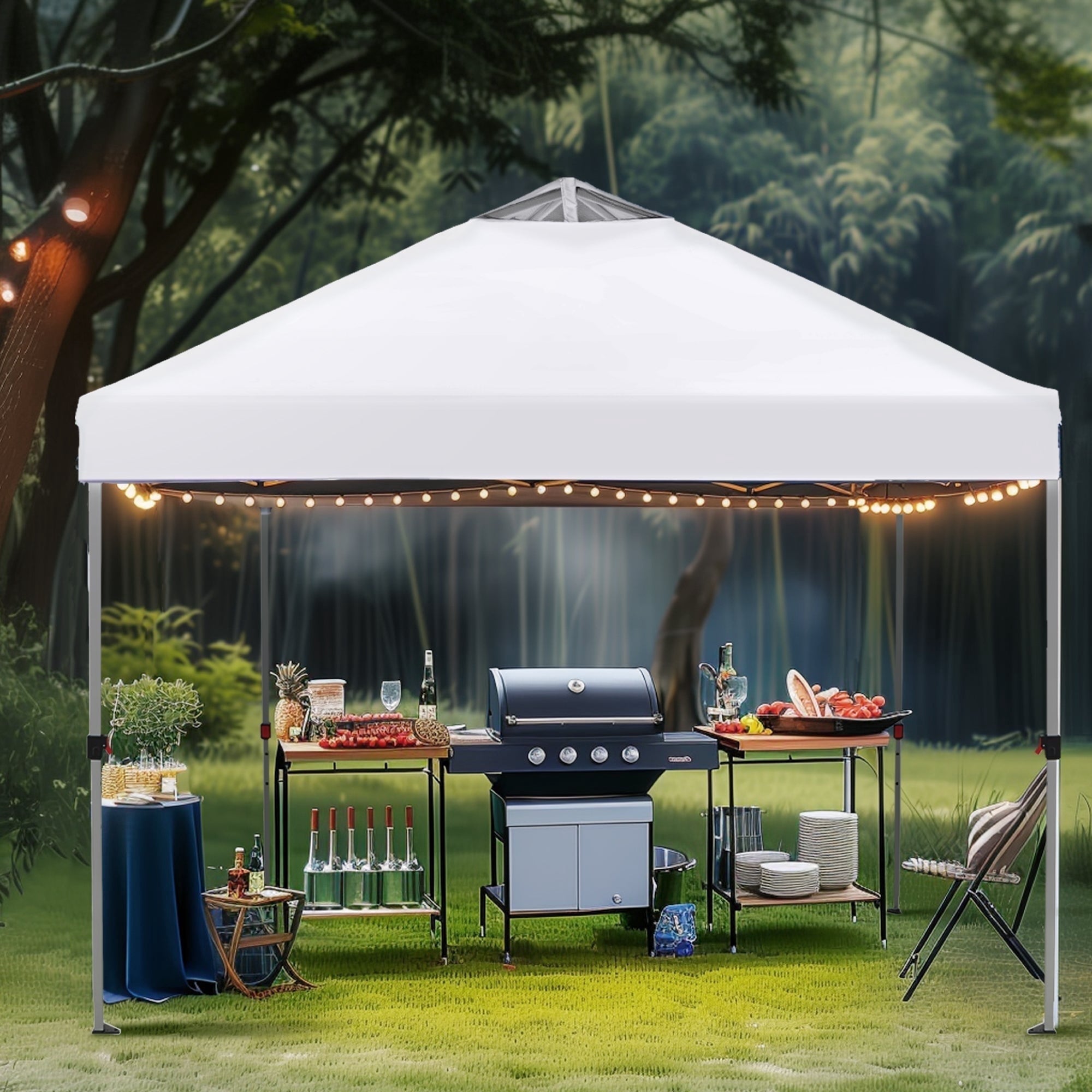 Alpha Joy 10'x 10' Pop up Canopy Outdoor Shade Canopy Event Instant Canopy Tent with Roller Bag, Blue